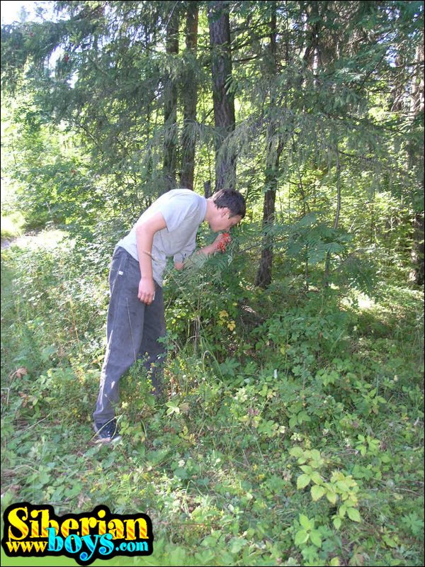Siberian Boys picture sample number 5