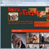 Bars and Stripes screenshot