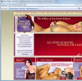 Breast Palace screenshot