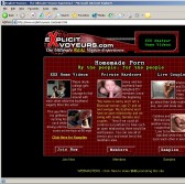 Explicit Voyeurs screenshot