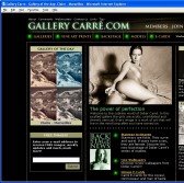 Gallery Carre screenshot