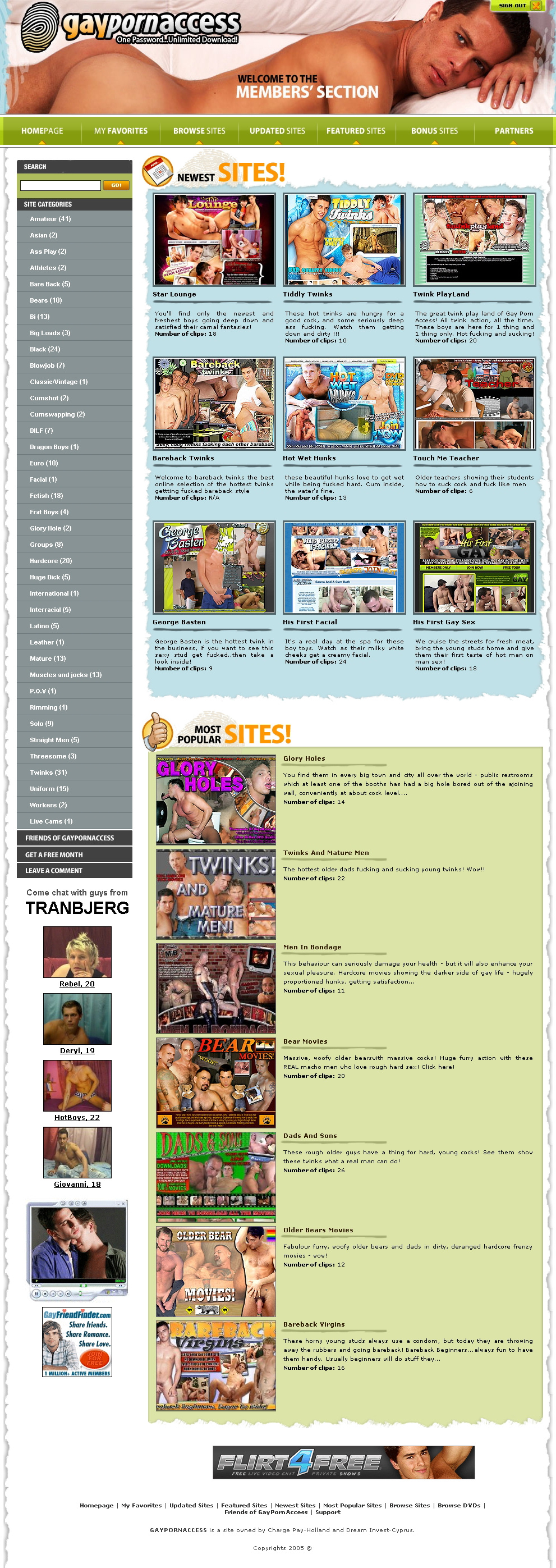 Gay Porn Access screenshot number 2