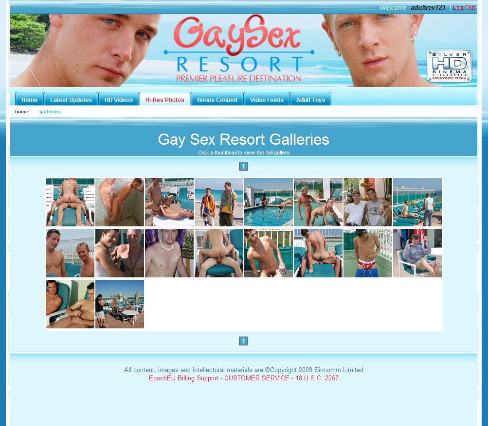 Gay Sex Resort screenshot number 5