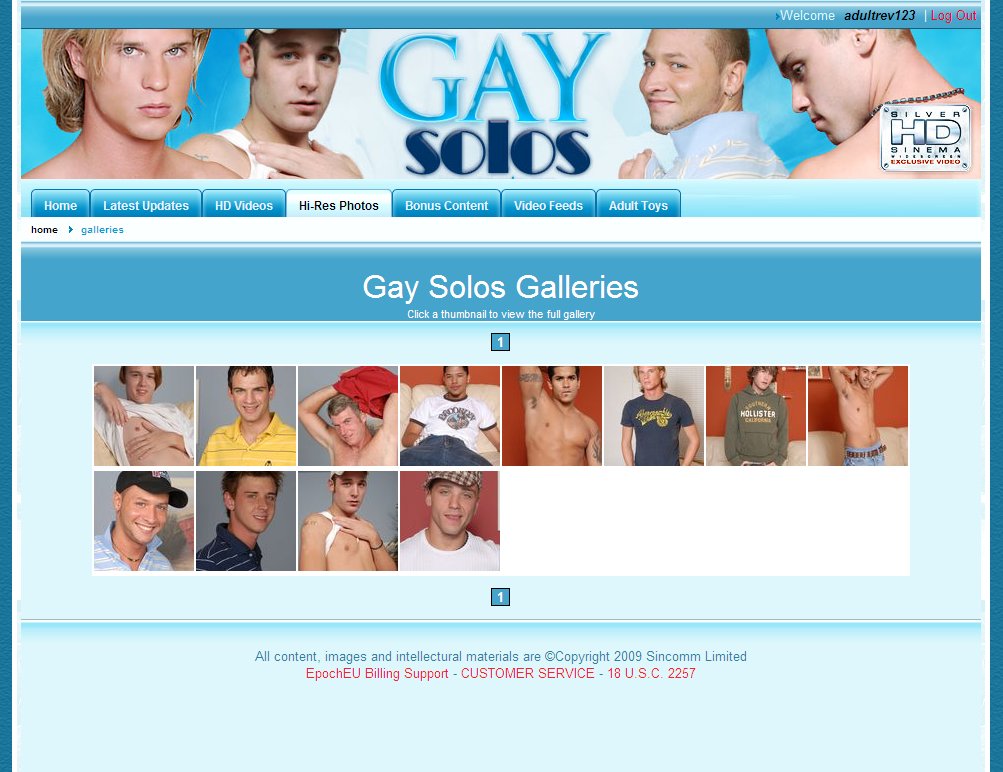 Gay Solos screenshot number 5