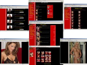 Members area screenshot from Matts Models - click to enlarge