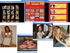 Members area screenshot from Mommy Loves Cock - click to enlarge