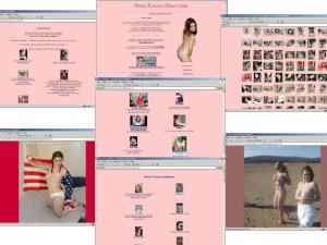 Members area screenshot from Nina Knows Best - click to enlarge