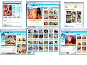 Members area screenshot from Pornication - click to enlarge