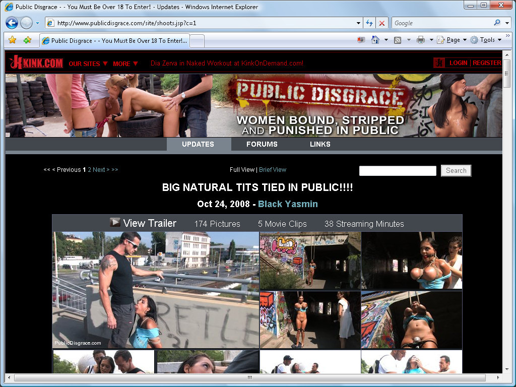 Public Disgrace screenshot number 1