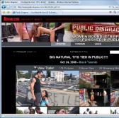 Public Disgrace screenshot