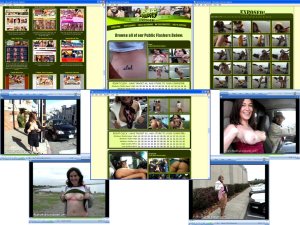 Members area screenshot from Public Nudity Exposed - click to enlarge