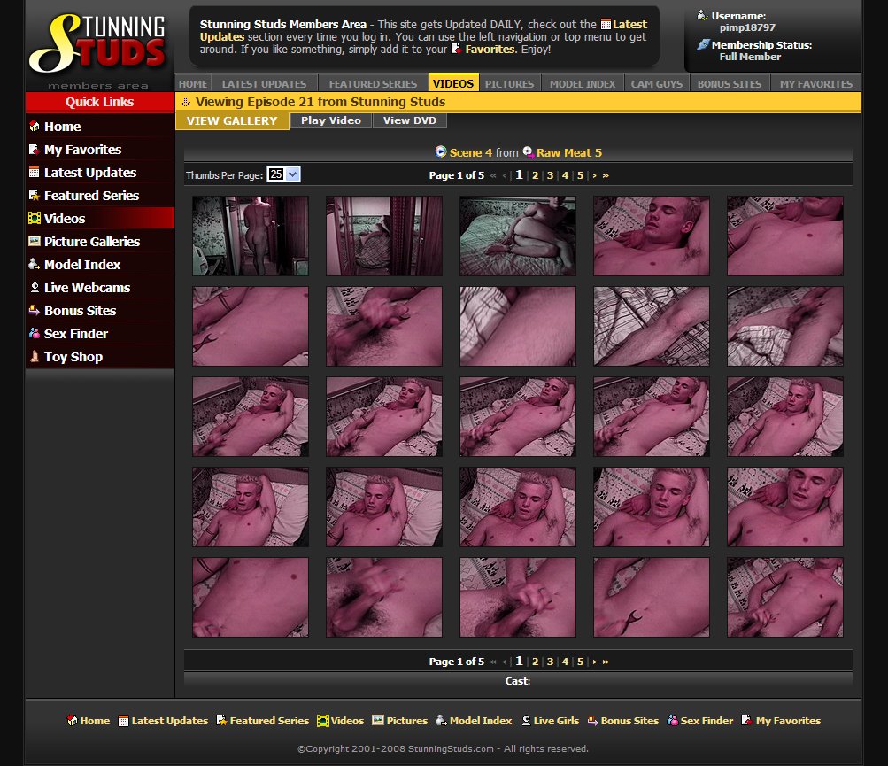 Stunning Studs screenshot number 5