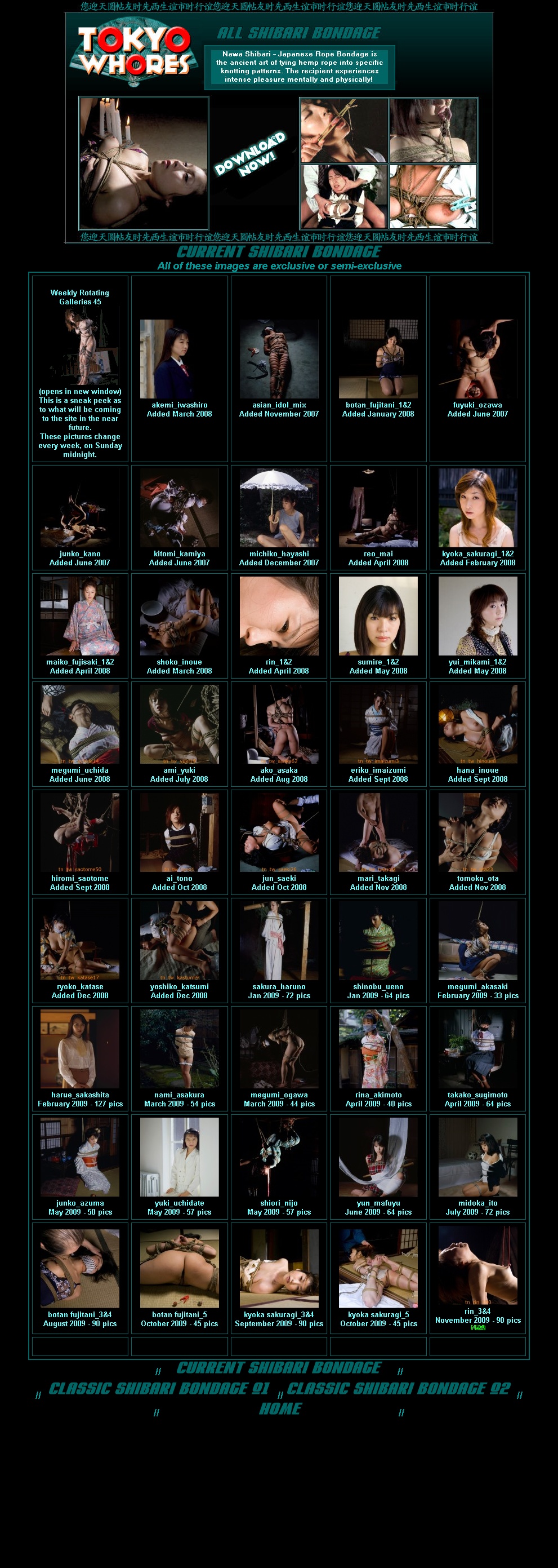 Tokyo Whores screenshot number 3