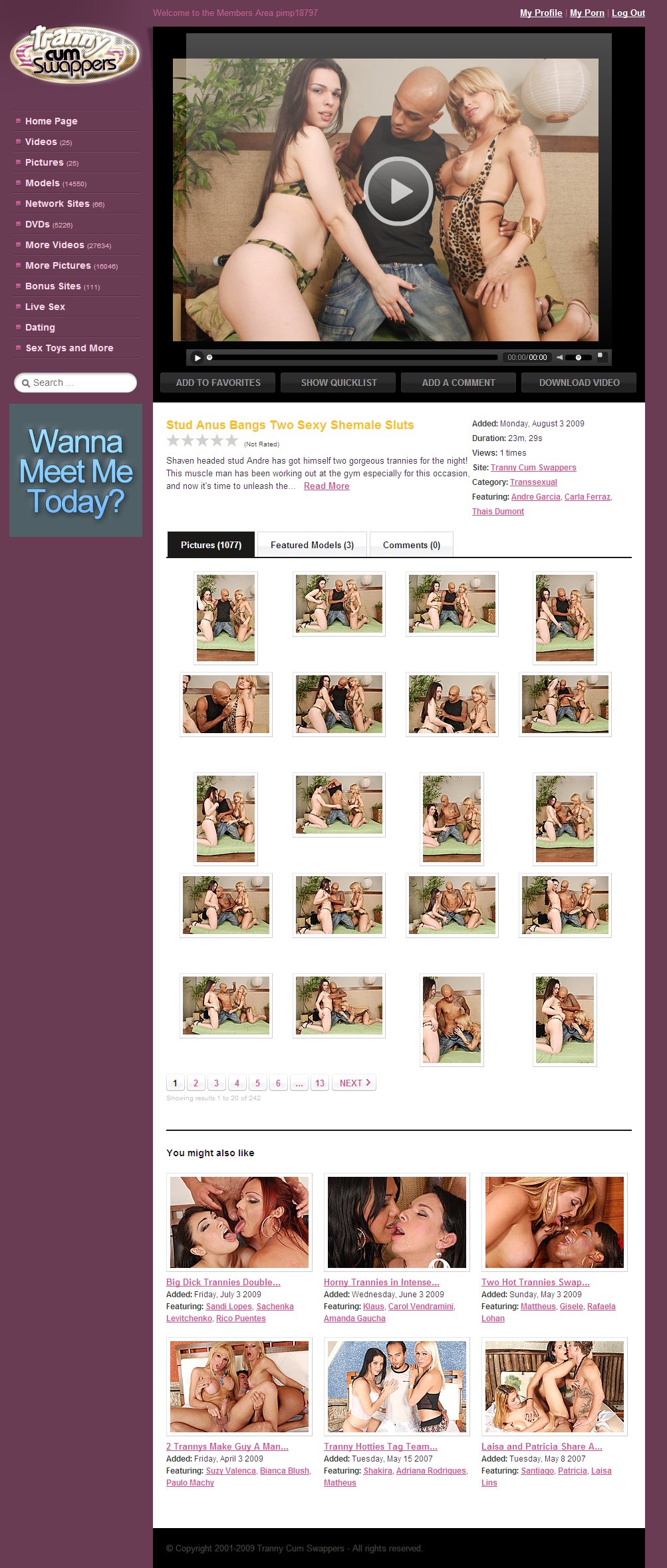 Tranny Cumswappers screenshot number 3