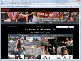 Screenshot from Public Disgrace