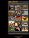 Screenshot 3 from members area