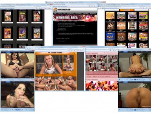Members area screenshot from Adult Bouncer - click to enlarge