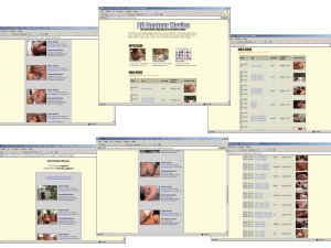 Members area screenshot from All Amateur Movies - click to enlarge