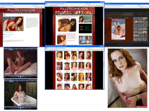 Members area screenshot from All Redheads - click to enlarge