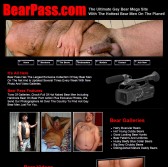 Bear Pass Picture screenshot
