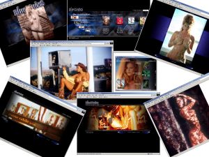 Members area screenshot from Blue Nudes - click to enlarge