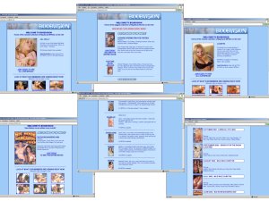 Members area screenshot from Boob Vision - click to enlarge