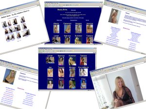 Members area screenshot from Busty Brits - click to enlarge