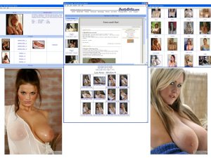 Members area screenshot from Busty Brits - click to enlarge