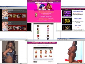Members area screenshot from Chubby Chicks - click to enlarge