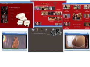 Members area screenshot from Cinema Erotique - click to enlarge