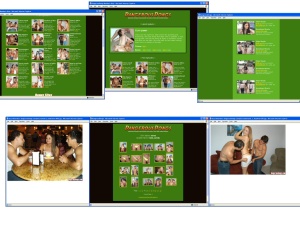 Members area screenshot from Dangerous Dongs - click to enlarge