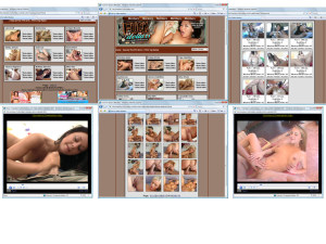 Members area screenshot from Fuck For Dollars - click to enlarge
