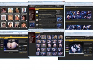 Members area screenshot from Fucking Machine 1000 - click to enlarge