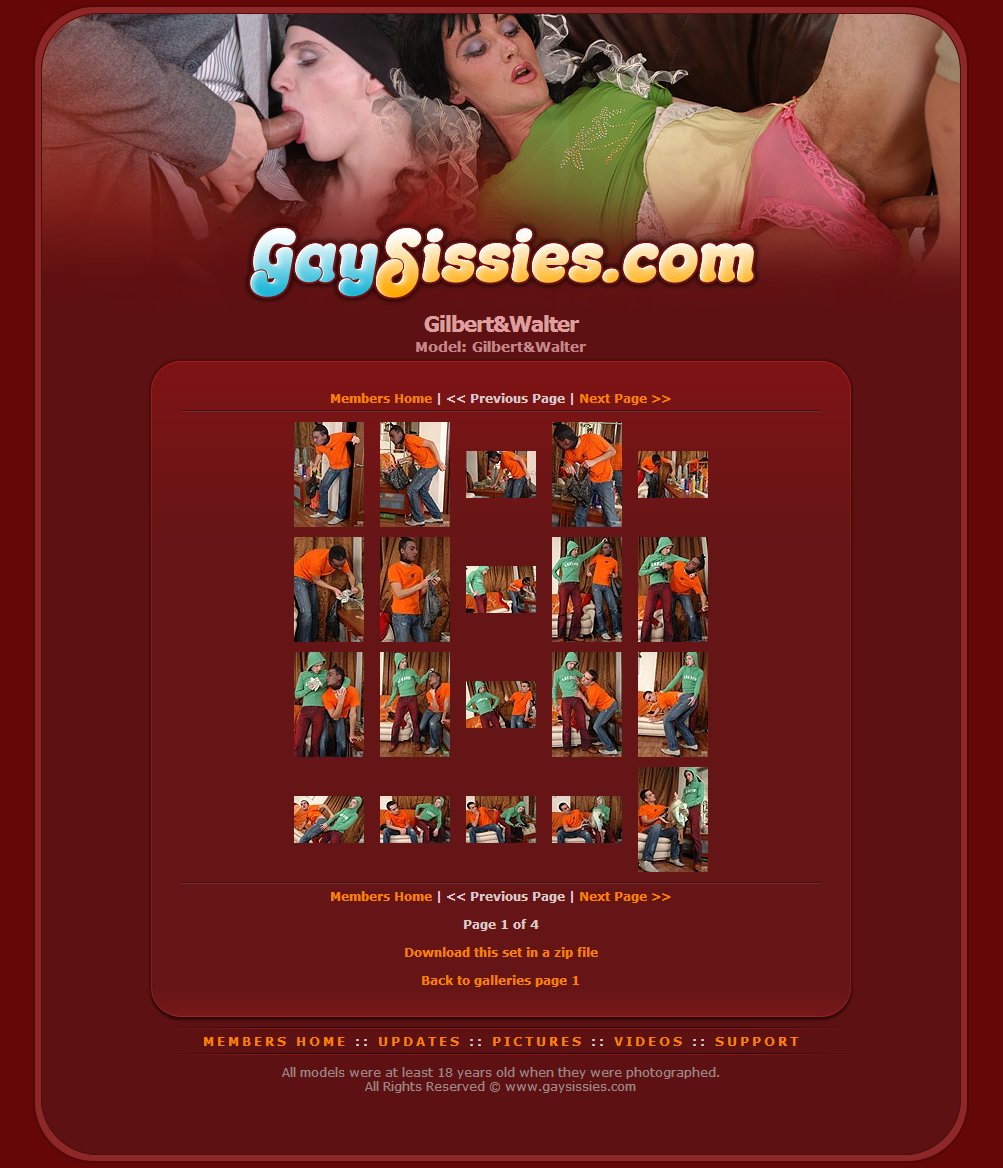 Gay Sissies screenshot number 4