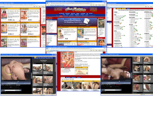 Members area screenshot from Hot Movies - click to enlarge