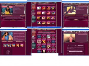 Members area screenshot from JOYourSelf - click to enlarge