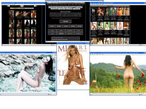 Members area screenshot from MET Art - click to enlarge