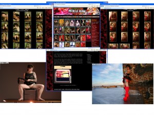 Members area screenshot from Michelle Aston - click to enlarge