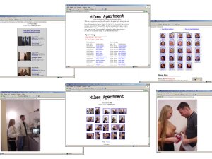 Members area screenshot from Mikes Apartment - click to enlarge
