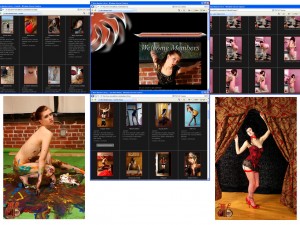 Members area screenshot from Minx Addiction - click to enlarge