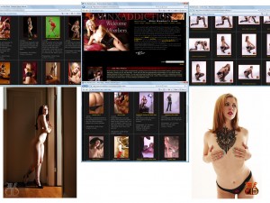 Members area screenshot from Minx Addiction - click to enlarge