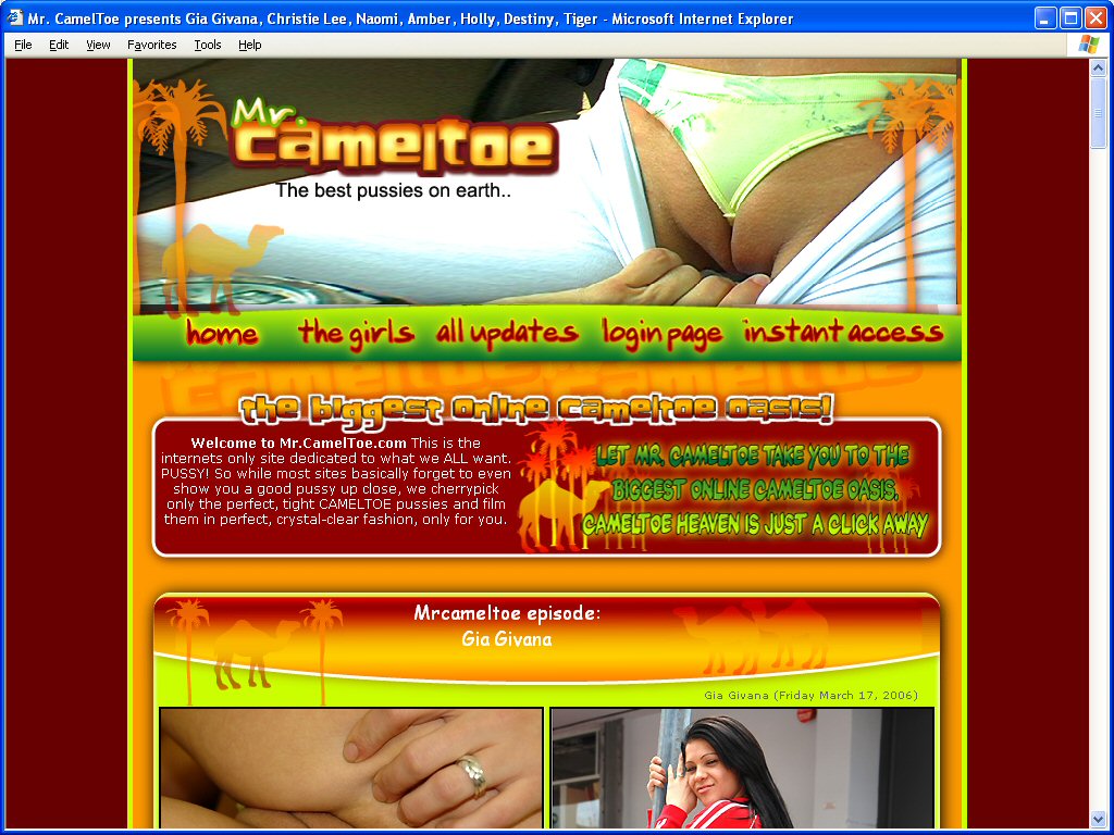 Mr Cameltoe screenshot number 1