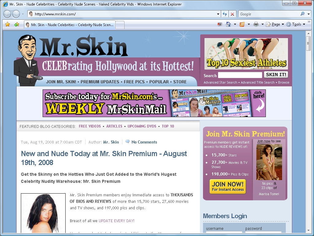 Mr Skin screenshot number 1