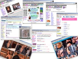 Members area screenshot from Mr. Skin - click to enlarge