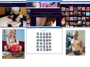 Members area screenshot from NerdPr0n - click to enlarge