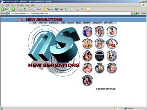 Members area screenshot from New Sensations - click to enlarge