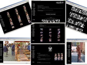 Members area screenshot from Nude in Public - click to enlarge