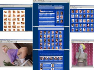 Members area screenshot from Pantyhose And Feet - click to enlarge