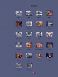 Screenshot 2 from members area