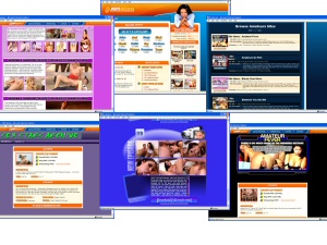 Members area screenshot from Porn Access - click to enlarge